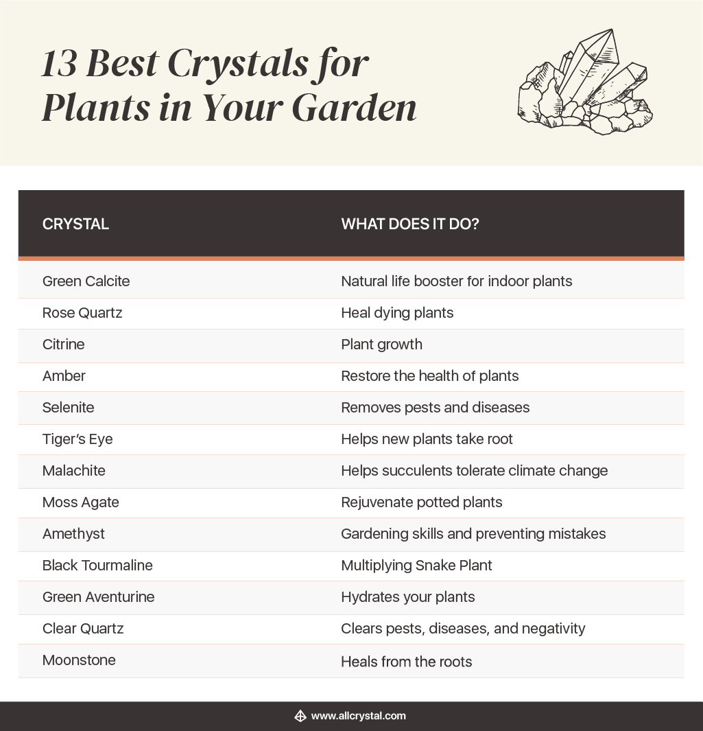 13 Best Crystals for Plants in Your Garden All Crystal