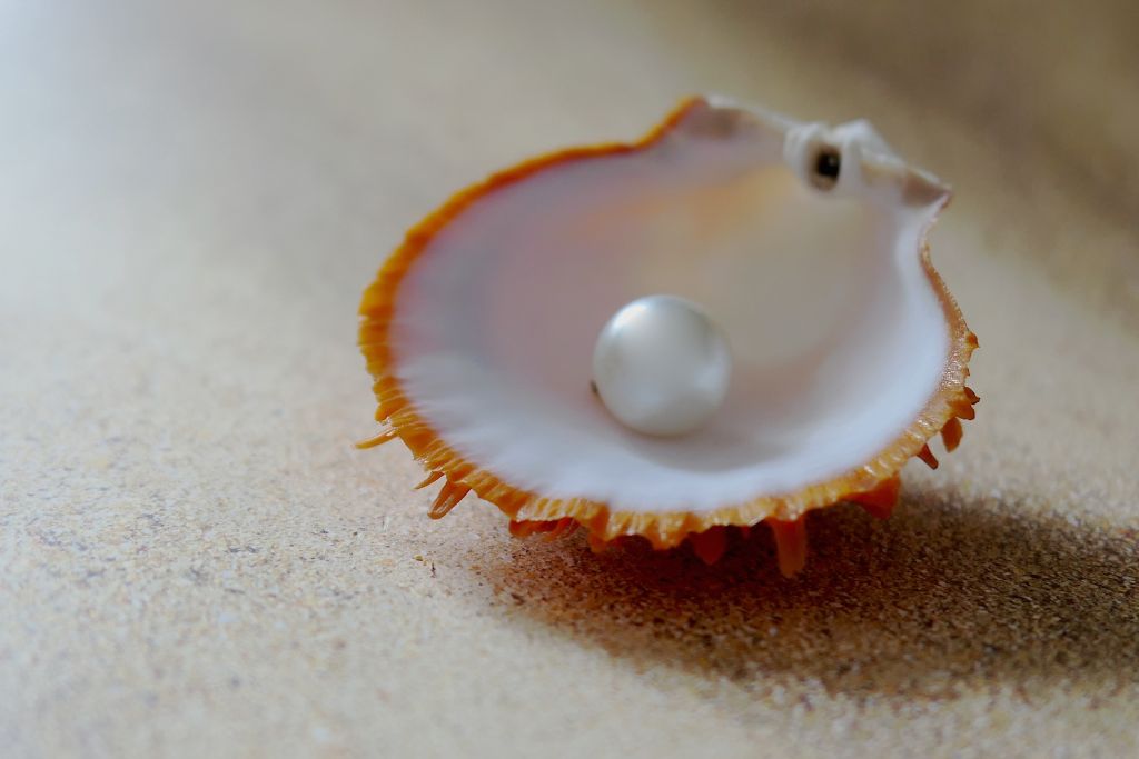 Pearl Meaning: Healing Properties, Uses, & Benefits // Tiny Rituals
