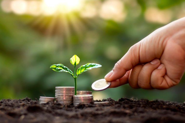 hand planting coins on the ground