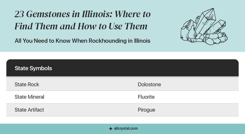 table showing Illinois state symbols