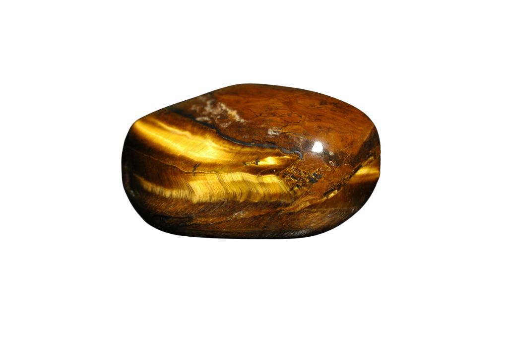 Tiger's Eye on a white background