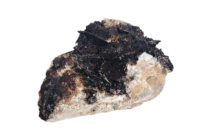 Tenorite on a white background